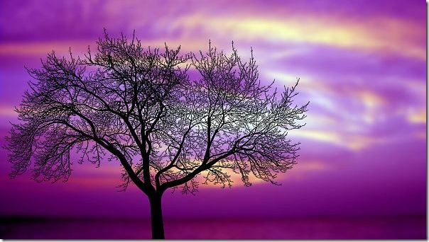 storydream_opt