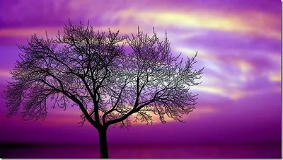 storydream_opt